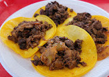 Tacos Gavilan