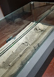 Museo Archeologico di Cecina