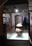 Museo Archeologico di Cecina