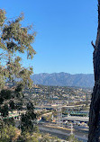 Elysian Park Trail