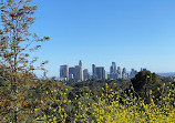 Elysian Park Trail