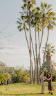 Elysian Park Trail