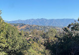 Elysian Park Trail