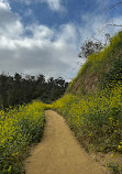 Elysian Park West Loop Trailhead