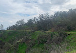 Elysian Park West Loop Trailhead