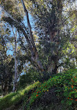 Elysian Park West Loop Trailhead