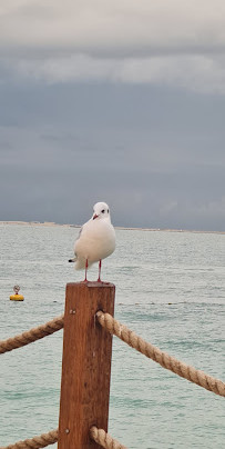 Praia de Jumeirah