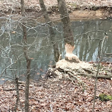 Nathaniel Greene Trail Head Lake Brandt Marina