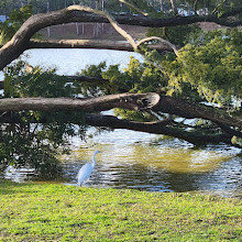 Myrtle Beach Travel Park