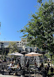 The Grove