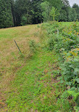 Hirschpark Buchet