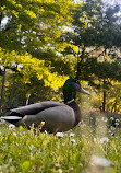 Stadtpark Graz