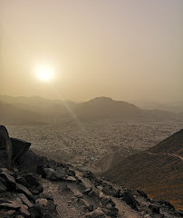 پروردگار من رشد کرد