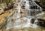 Cloudland Falls