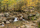 Cloudland Falls