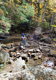 Cloudland Falls