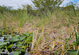 Everglades Holiday Park Airboat Tours and Rides