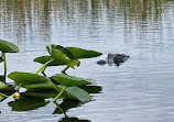 Everglades Holiday Park Airboat Tours and Rides