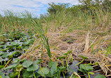 Everglades Holiday Park Airboat Tours and Rides