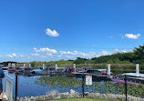 Everglades Holiday Park Airboat Tours and Rides