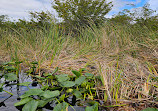 Everglades Holiday Park Airboat Tours and Rides