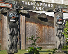 Parc Thunderbird