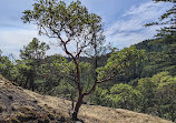 Mount Wells Regional Park