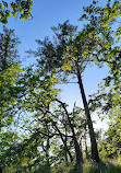 Highrock Cairn Park