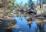 Cuthbert Holmes Park