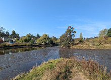 Cuthbert Holmes Park