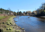 Cuthbert Holmes Park