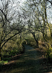 Cuthbert Holmes Park