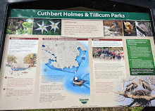 Cuthbert Holmes Park