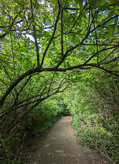 Cuthbert Holmes Park