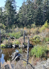 Cuthbert Holmes Park