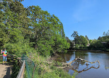 Cuthbert Holmes Park