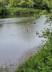 Cuthbert Holmes Park