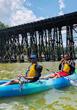 Potomac Boat Rentals