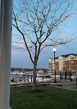 Belmont Bay Harbor Marina