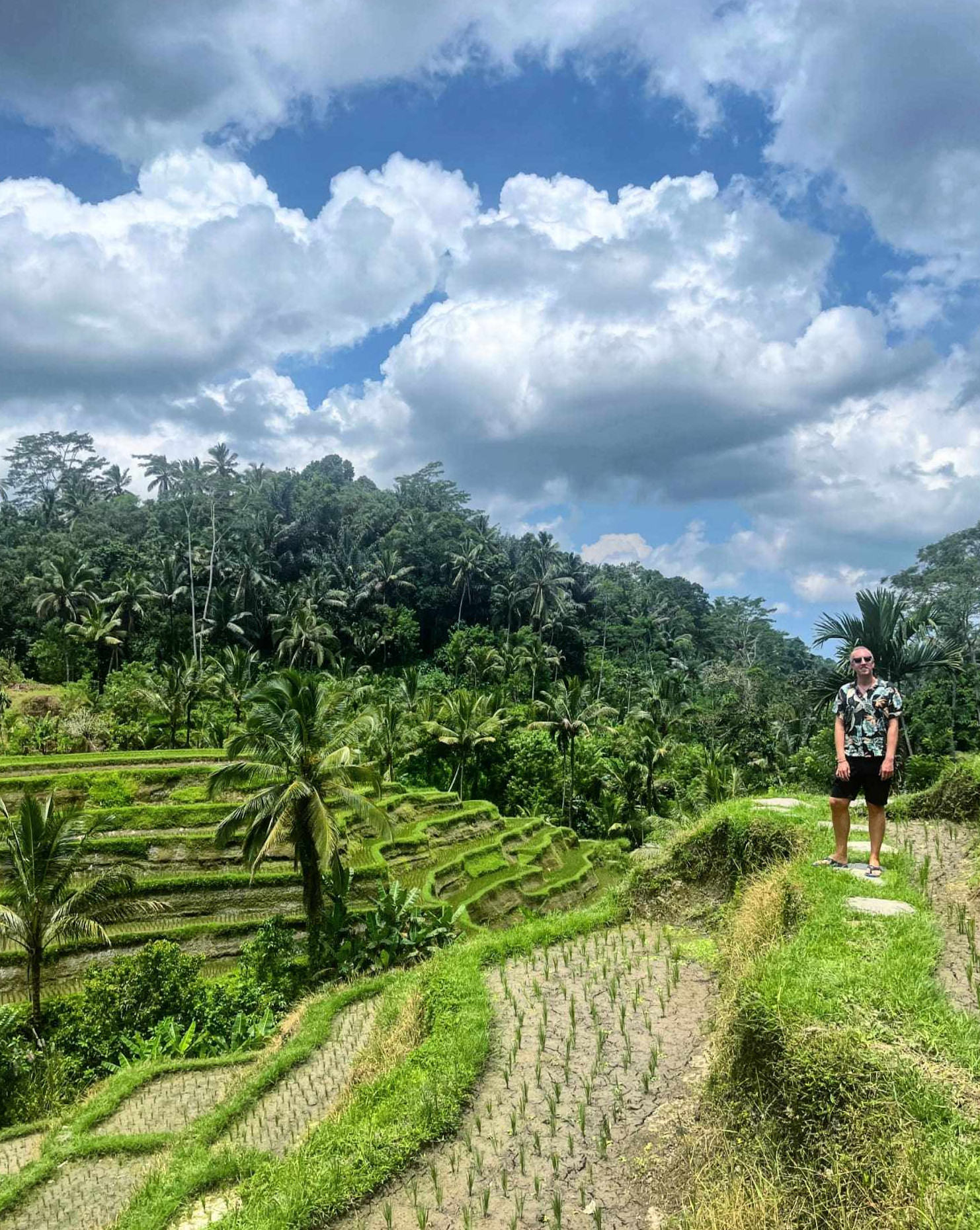 Tepi Sawah Waroeng