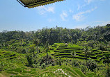 Tepi Sawah Waroeng