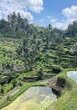 Tepi Sawah Waroeng