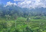 Green Terrace warung