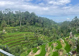 Green Terrace warung