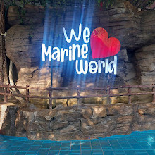 ciso marine world