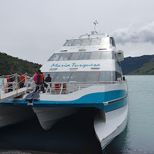 Sendero al catamaran hielos Patagonia