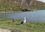 Sendero al catamaran hielos Patagonia