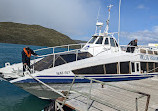 Sendero al catamaran hielos Patagonia