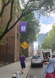 New York University