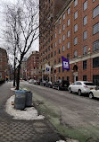 New York University